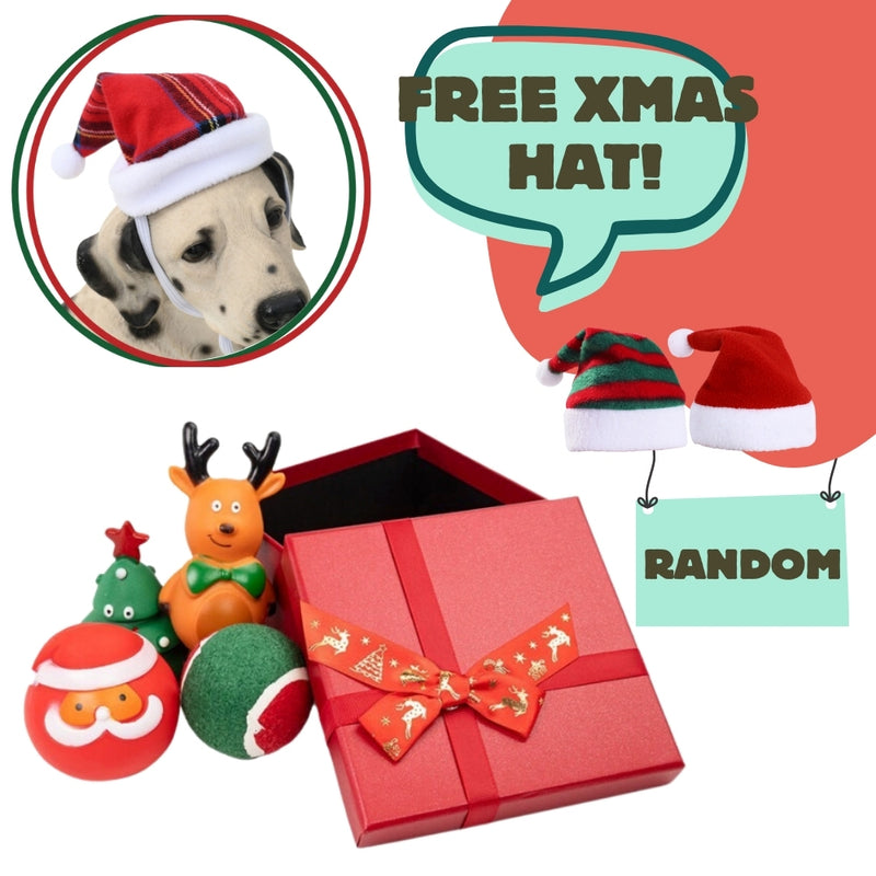 Free Christmas Hat Included in TEGAL Christmas Dog Toy Gift Box