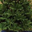 Close-up of a decorated Christmas tree with lights