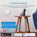TEGAL - TEGAL Smart Wifi Plug Power Socket 16A - A10 Mini Classic